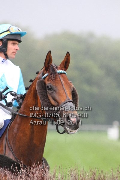 IMG 0700 600x400 prot
