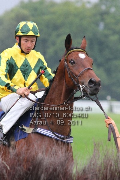 IMG 0710 600x400 prot