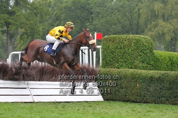 IMG 0713 600x400 prot