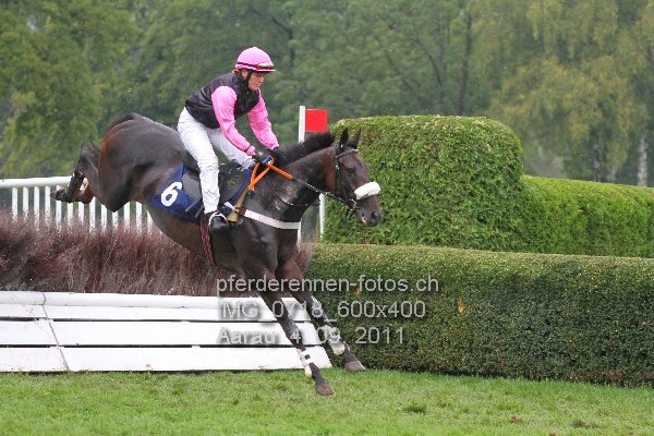 IMG 0718 600x400 prot