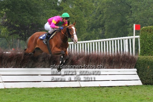 IMG 0723 600x400 prot