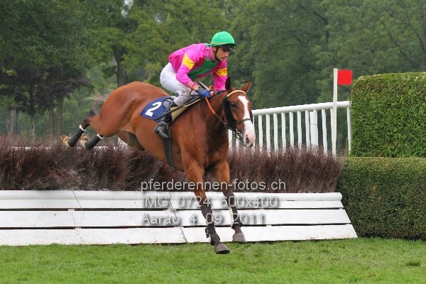 IMG 0724 600x400 prot