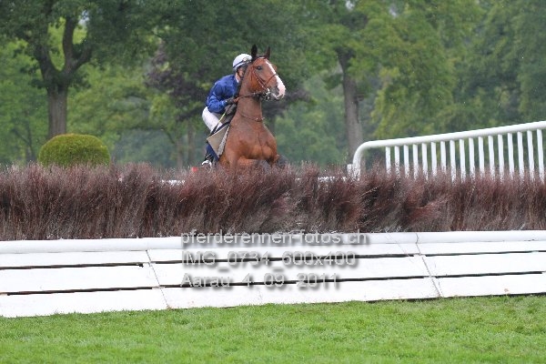 IMG 0734 600x400 prot