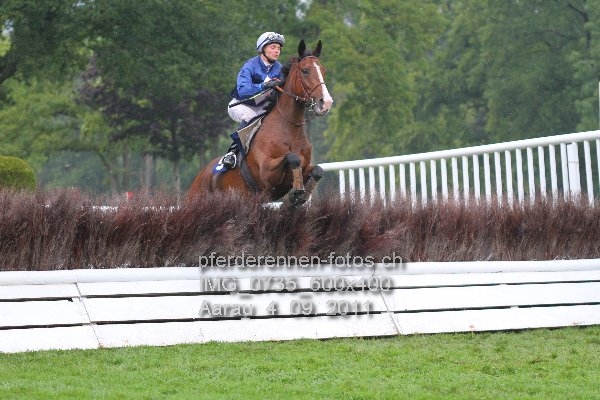 IMG 0735 600x400 prot
