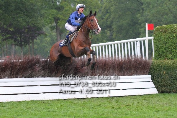 IMG 0736 600x400 prot