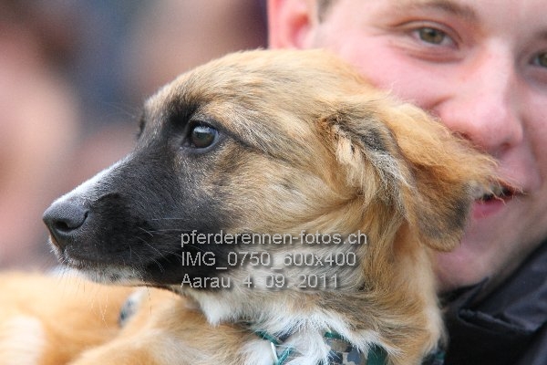 IMG 0750 600x400 prot