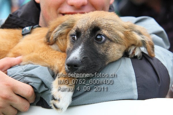 IMG 0752 600x400 prot
