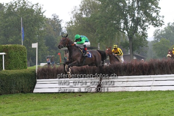 IMG 0754 600x400 prot