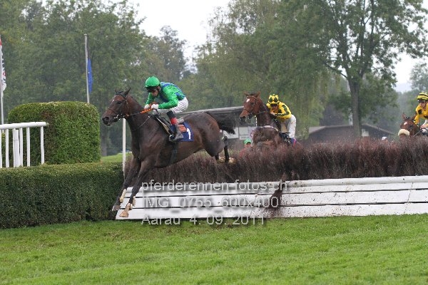 IMG 0755 600x400 prot