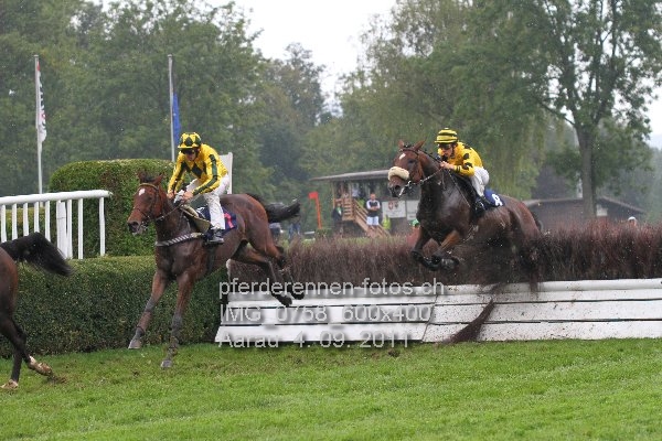 IMG 0758 600x400 prot
