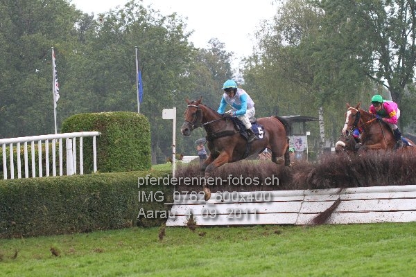 IMG 0762 600x400 prot
