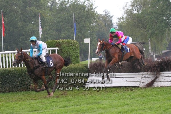 IMG 0764 600x400 prot