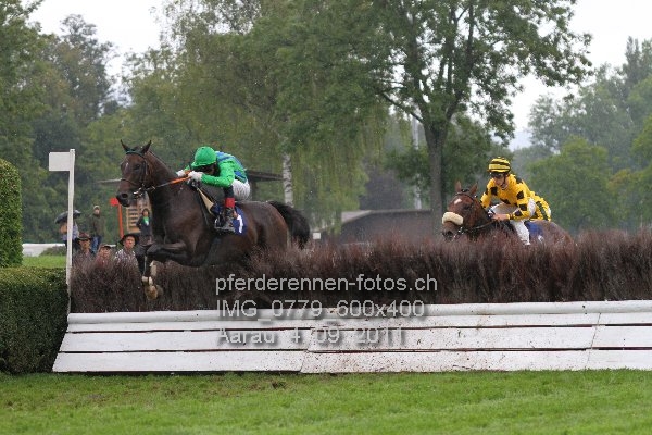 IMG 0779 600x400 prot