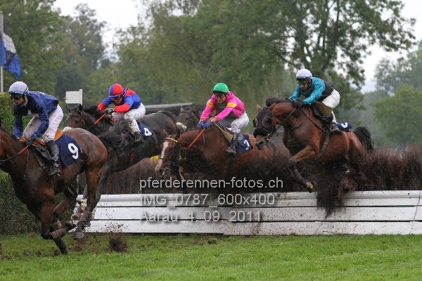 IMG 0787 600x400 prot