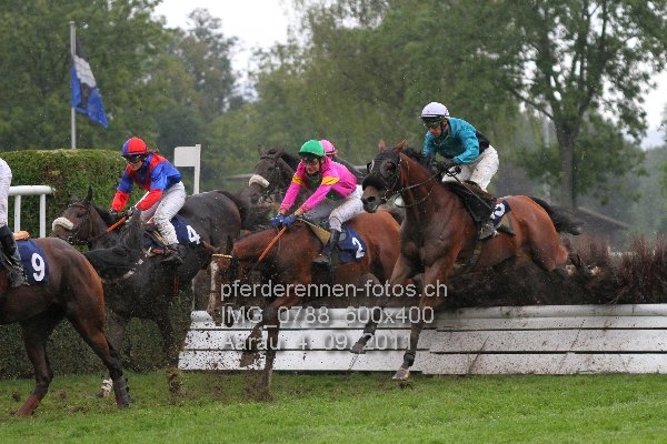 IMG 0788 600x400 prot