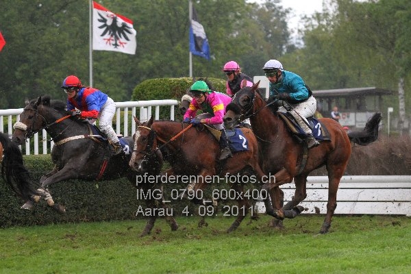 IMG 0790 600x400 prot