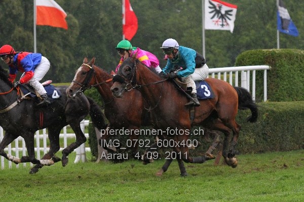 IMG 0792 600x400 prot