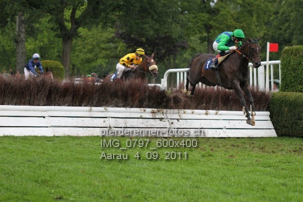 IMG 0797 600x400 prot