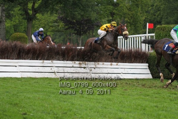 IMG 0799 600x400 prot