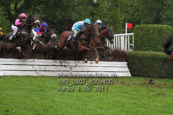 IMG 0807 600x400 prot