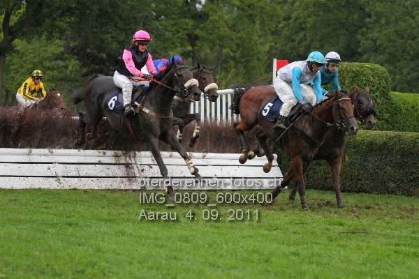 IMG 0809 600x400 prot