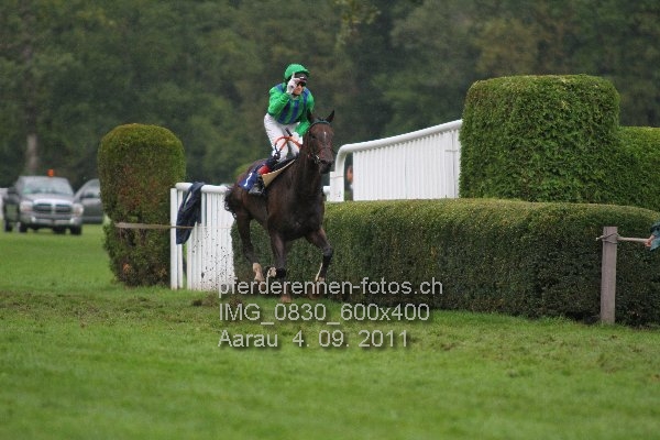 IMG 0830 600x400 prot