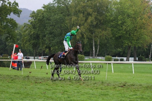 IMG 0842 600x400 prot