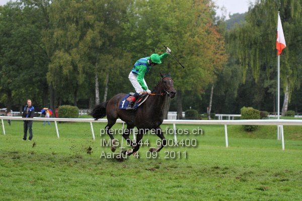 IMG 0844 600x400 prot