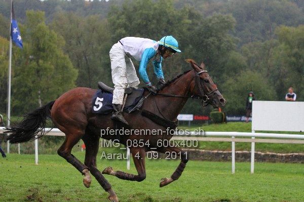 IMG 0854 600x400 prot