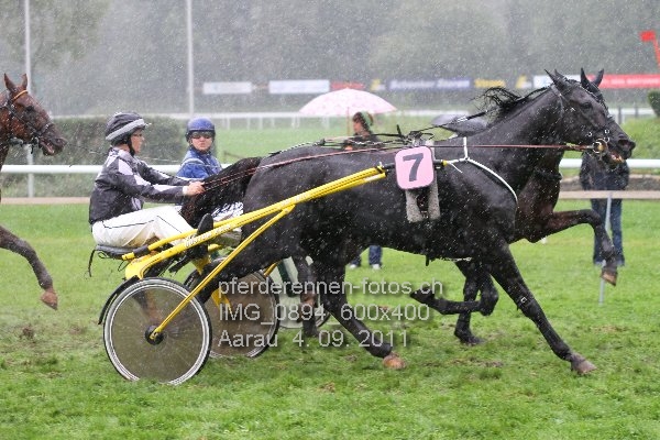 IMG 0894 600x400 prot