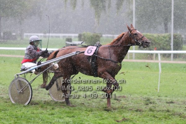 IMG 0895 600x400 prot