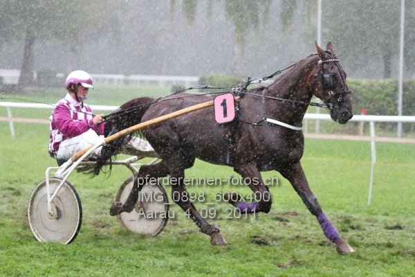 IMG 0898 600x400 prot