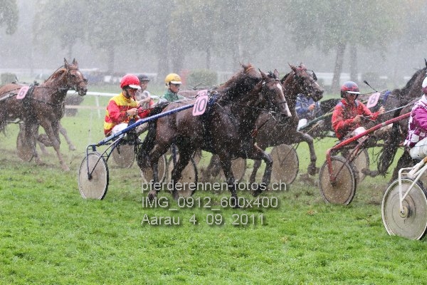 IMG 0912 600x400 prot