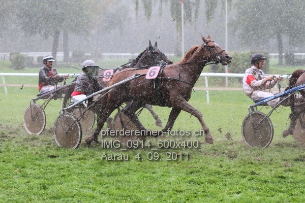 IMG 0914 600x400 prot