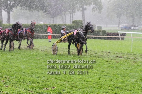IMG 0922 600x400 prot