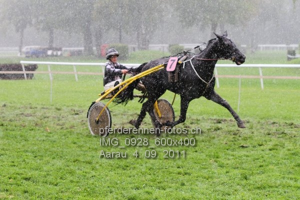 IMG 0928 600x400 prot