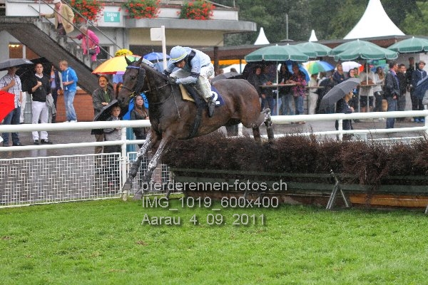 IMG 1019 600x400 prot