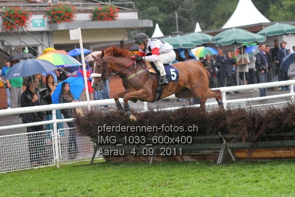 IMG 1033 600x400 prot