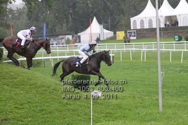 IMG 1053 600x400 prot