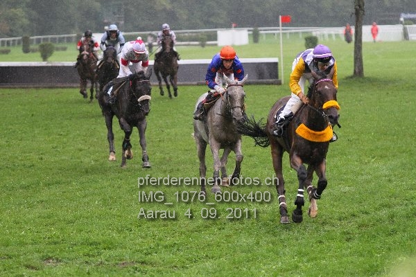 IMG 1076 600x400 prot