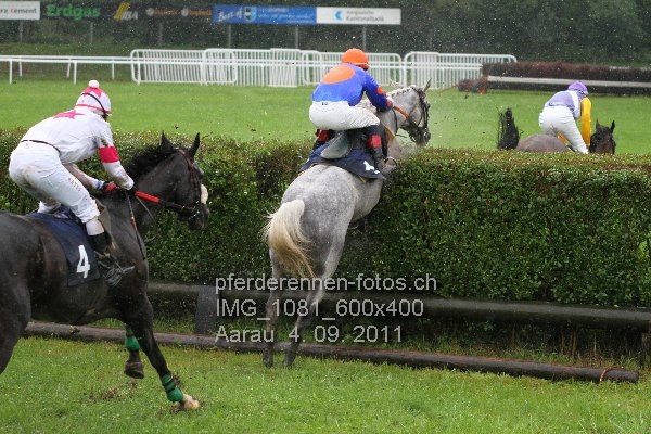 IMG 1081 600x400 prot