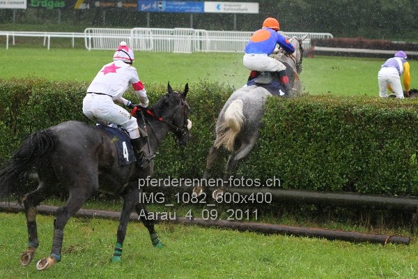 IMG 1082 600x400 prot