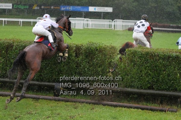 IMG 1096 600x400 prot