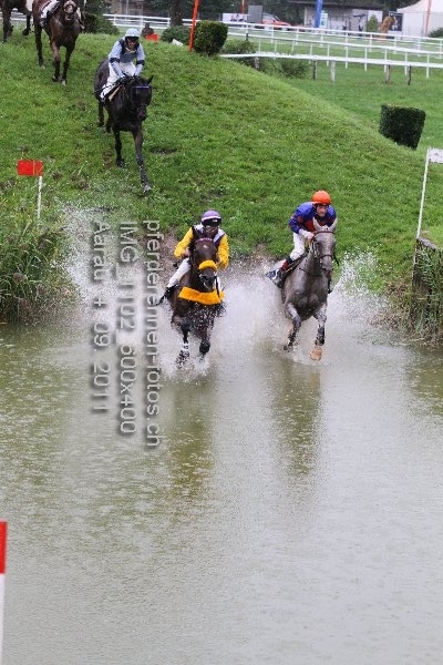 IMG 1102 600x400 prot