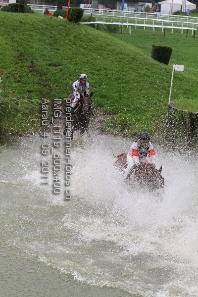 IMG 1119 600x400 prot