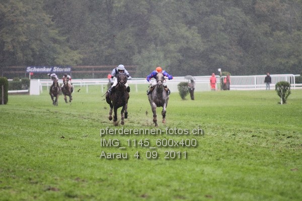 IMG 1145 600x400 prot