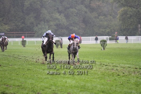 IMG 1149 600x400 prot