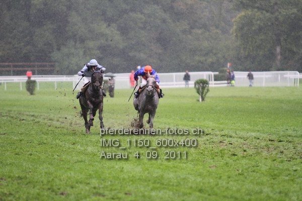 IMG 1150 600x400 prot