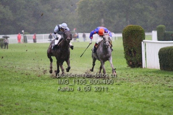 IMG 1155 600x400 prot