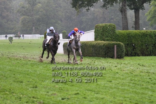 IMG 1158 600x400 prot